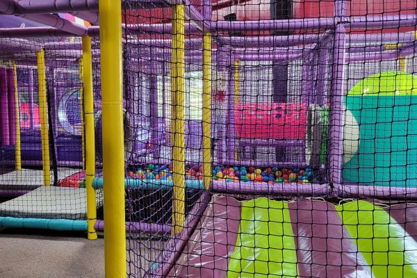 20220701_113319_resized-scaled