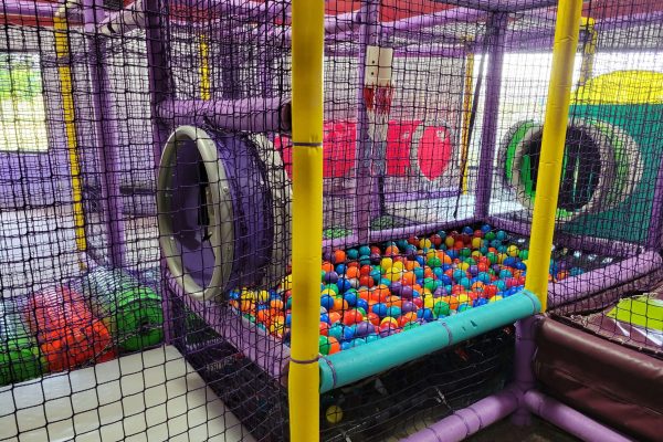 20220701_113335_resized-scaled