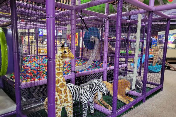 20220701_113344_resized-scaled